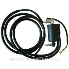 Free Shipping Ignition Coil