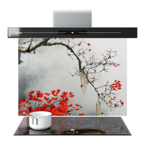 Kitchen glass splashback - kitchen,