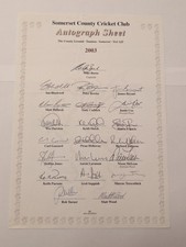 Somerset Cricket CCC 2003