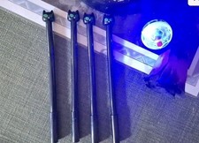 haunted No Doll. cat familiar