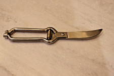 inox poultry shears 25cm in