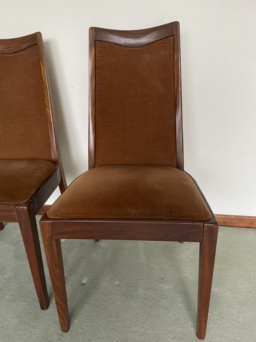 Mid century plan fresco - x,