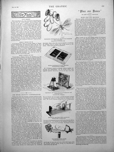 Old microscopic preparations - microscopic,