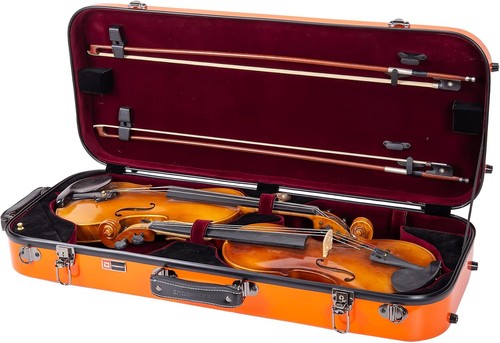 Fiberglass double violin - double, case