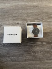 Skagen 40mm Silver Stainless