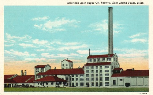 Vintage postcard american beet - postcard,