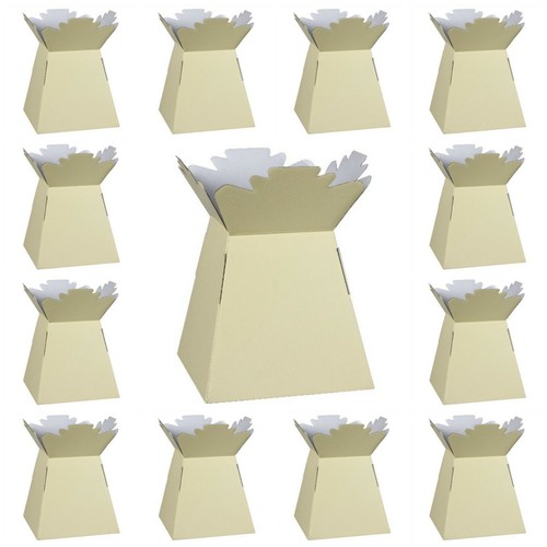 Ivory living vases florist - living,