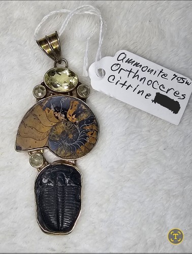 Vintage sterling925 ammonite - vintage,