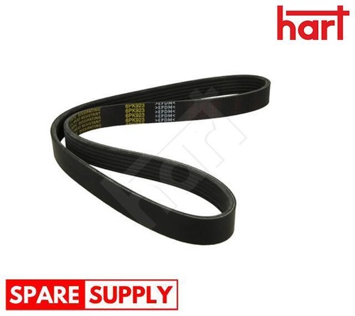 Ribbed belt for - v-ribbed, caddy
