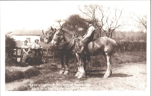 Vintage style ploughman - vintage,