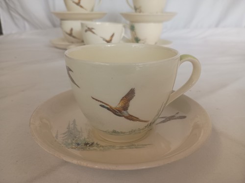Royal doulton the coppice - royal,