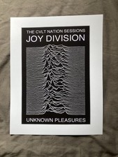 Joy Division Poster Unknown