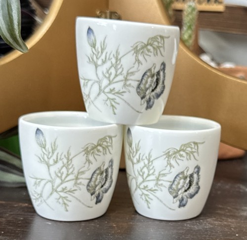 Wedgewood set egg cups - wedgewood,