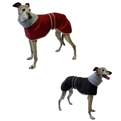 Greyhound polo waterproof dog - greyhound,