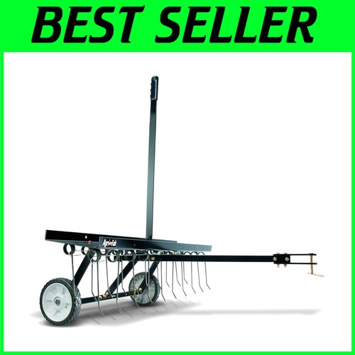 Spring lawn maintenance - spring,
