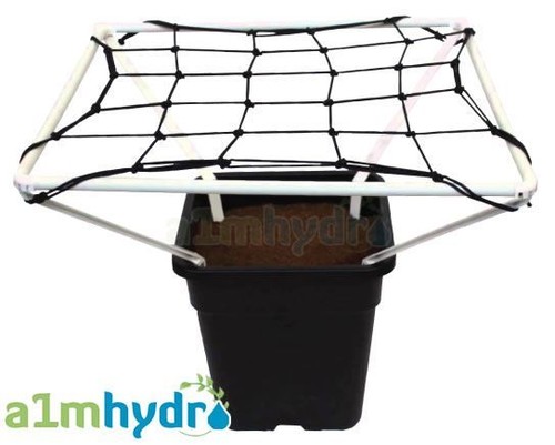 Scrog line pro plant - scrog,