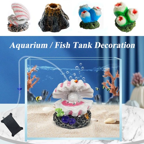 Aquarium fish tank underwater - tank,