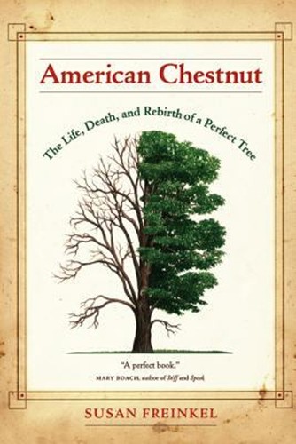 American chestnut the - american, life