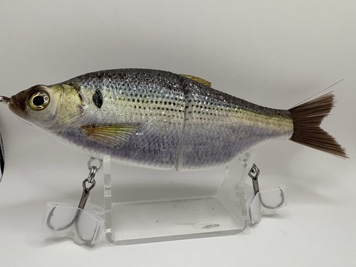 Tyg shad glide - shad, bait