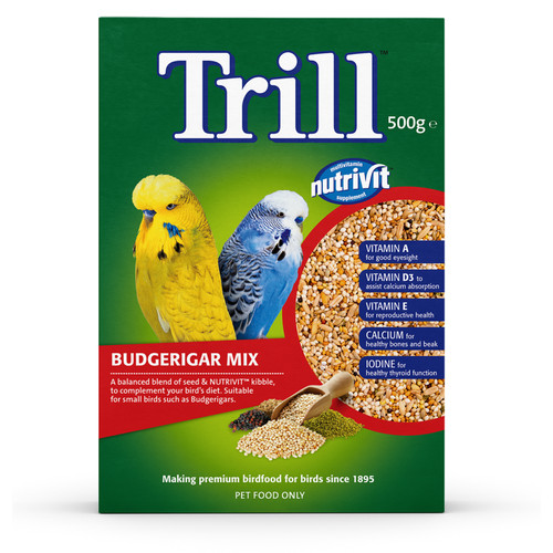 6kg trill budgie bird - budgie,