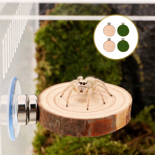 4pcs jumping spider enclosure - jumping,