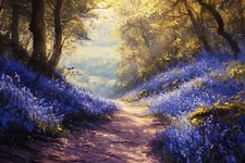 Bluebell Woodland Forest Canvas Picture Print Wall Art