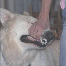 SIGN CRUSHES MOTORIST - I'll