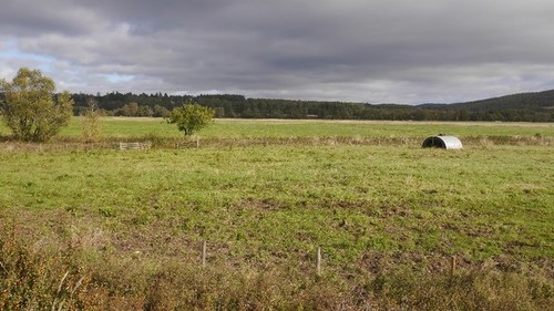 Photo 6x4 pig ark haugh - 6x4, birse