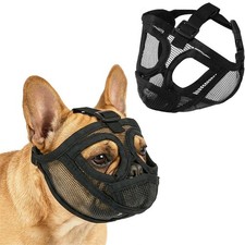 Short Snout Dog Muzzle