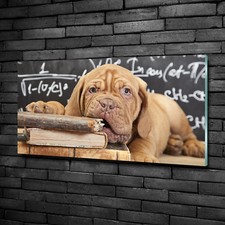 Glass picture wall art print