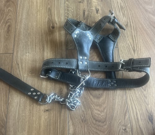 Blackleather dog harness - dog,
