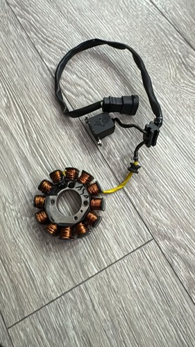 Aprilia rs50 2018 stator - aprilia, plate