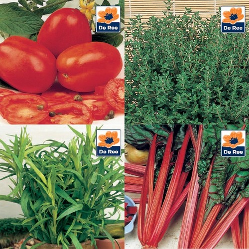 Vegetable seeds grow - seeds, your