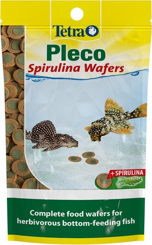 Pleco fish food spirulina - pleco,