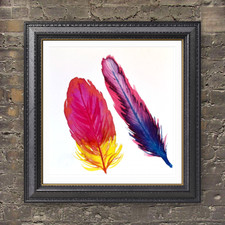 Original Colourful Feather