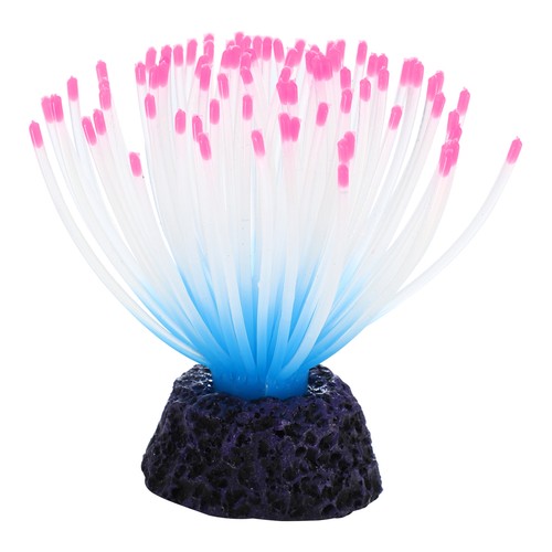 Aquarium anemone fluorescence - aquarium,