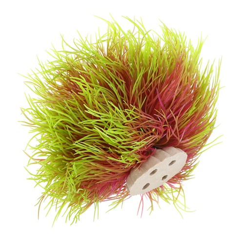 Small fish tank decorations - small,