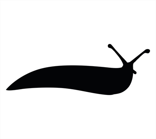 Slug garden vinyl decal - slug,