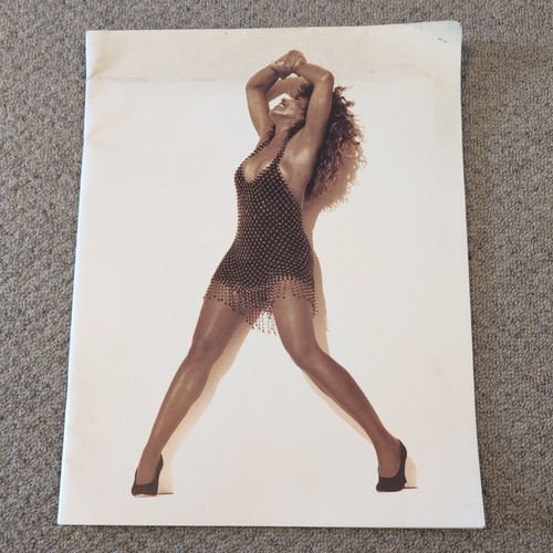 Tina turner ticket - turner, foreign