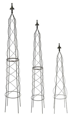 Garden obelisks climbing - garden, plant
