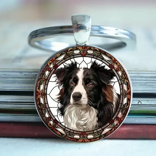 Border collie dog - border,