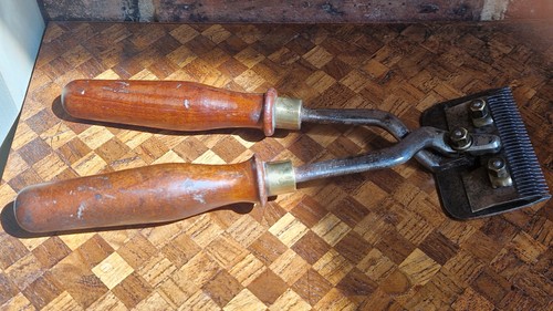 Vintage equestrian s - -, j