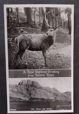 Royal Highland Greeting