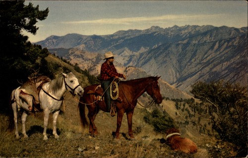 Western deer hunter - hunter, montana