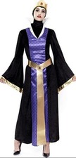 Evil Queen Costume Adult