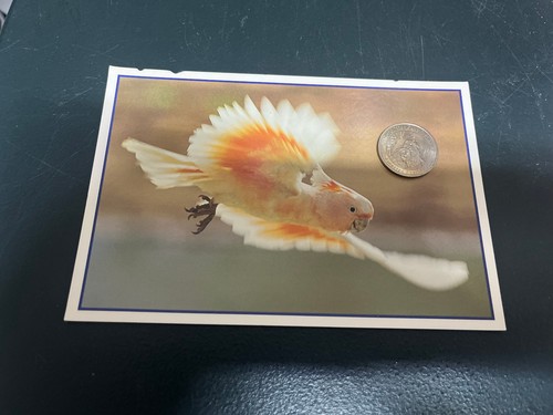 2025 australia - (1843),