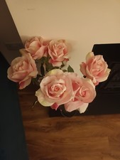 Six long stem beautiful two tone pink roses