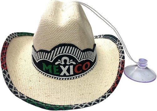 Set mexican mini palm - of,