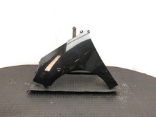 RENAULT SCENIC Front Wing N/S