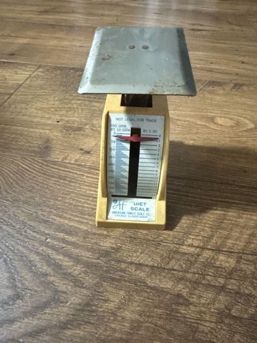 Vintage american family scale - vintage,